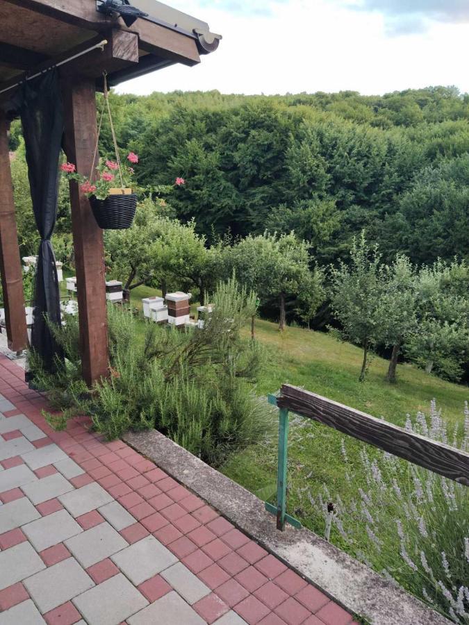 Guest House Bee Високо Экстерьер фото