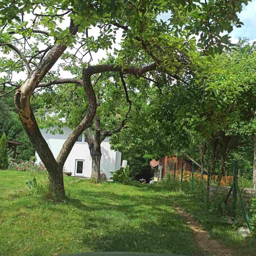 Guest House Bee Високо Экстерьер фото