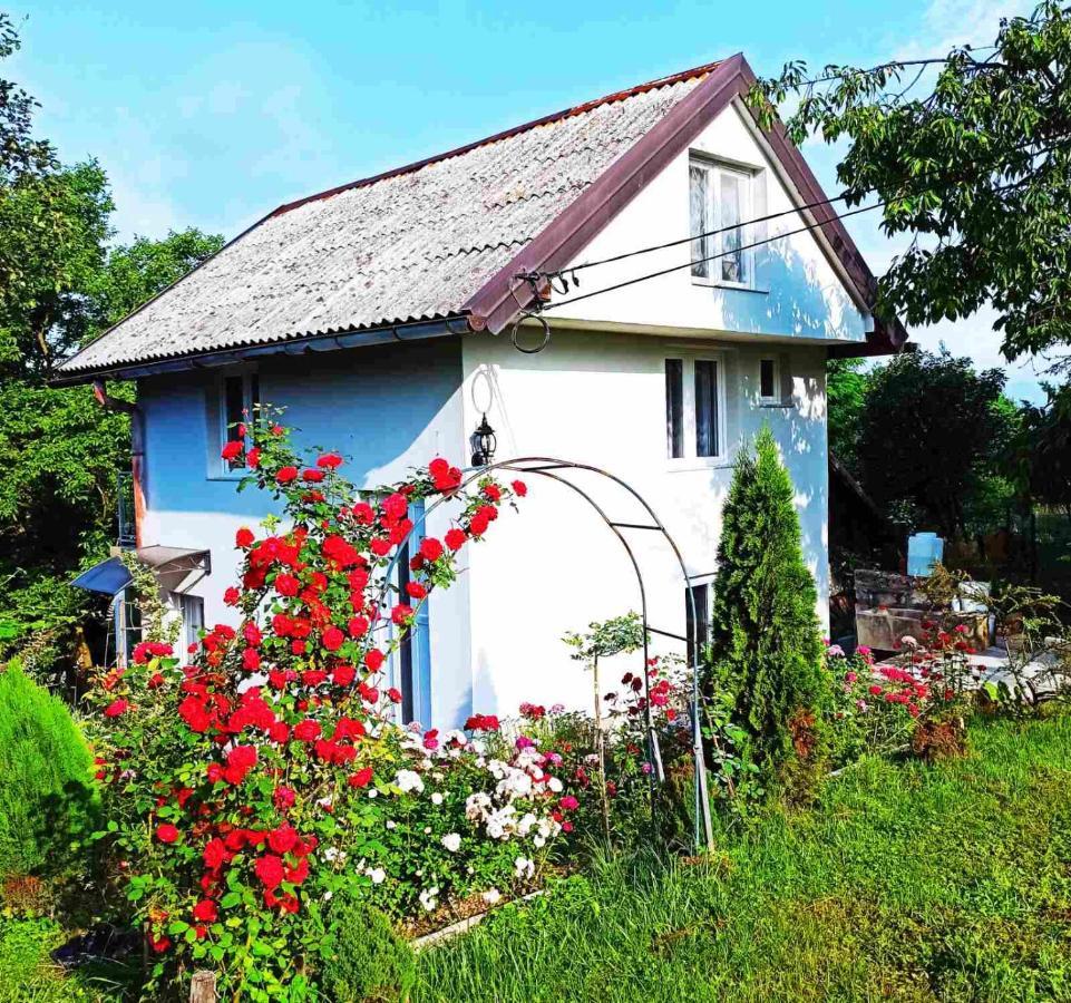 Guest House Bee Високо Экстерьер фото